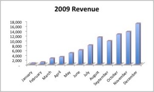 Revenue growth in 2009